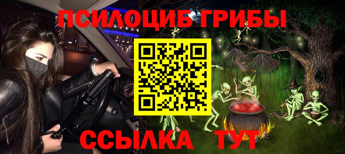 Псилоцибиновые грибы GOLDEN TEACHER  Галлюциногенные грибы Cubensis  Саки  Вход с VPN 